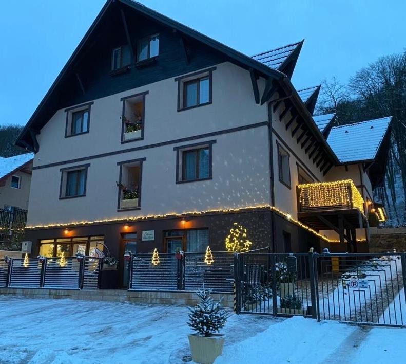 Silvan Villa - Apart Sighişoara Esterno foto