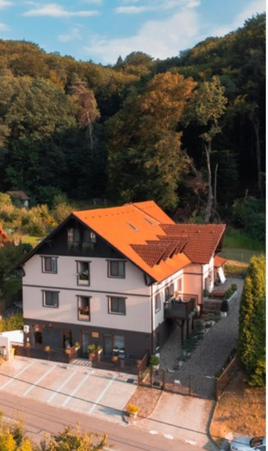 Silvan Villa - Apart Sighişoara Esterno foto